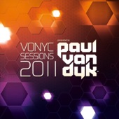 Can't Stand the Silence (Paul van Dyk Remix) artwork