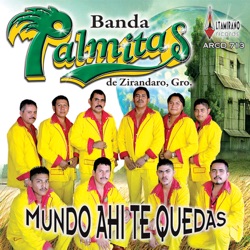 Banda Las Palmitas De Zirandaro Guerrero - Recorriendo Mi Region