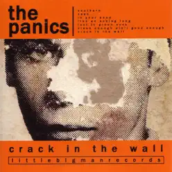 Crack In the Wall - The Panics