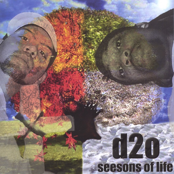 d2o butterflies album