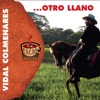 Otro Llano, 2006