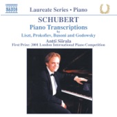 Schubert - Winterreise, S561/R246: Winterreise, Op. 89, D. 911: No. 5. Der Lindenbaum (trans. Liszt) artwork