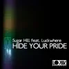 Hide Your Pride (feat. Luckwhere) [Remixes] album lyrics, reviews, download