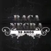 Raça Negra - 25 Anos (Ao Vivo) album lyrics, reviews, download