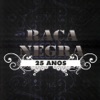 Raça Negra - 25 Anos (Ao Vivo), 2008