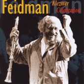 Klezmer Celebration (The Feidman Trio) artwork