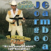 El Novillo Despuntado artwork