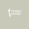 Pitbull Report
