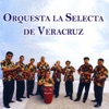 Orquesta la Selecta de Veracruz