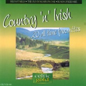 Country 'n' Irish - 20 All Time Favourites artwork