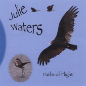 Julie Waters - Steel Strings