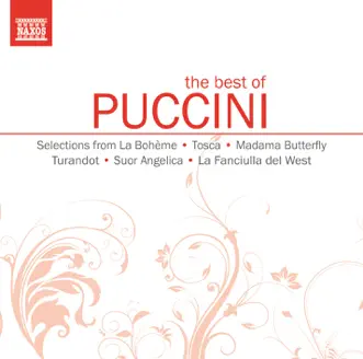 Turandot: Signor, Ascolta! by Miriam Gauci, BRTN Philharmonic Orchestra & Alexander Rahbari song reviws