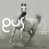 Arabian Horse - GusGus