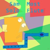 Solo Flute artwork