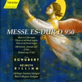 Schubert: Mass In e Flat Major, D. 950 artwork