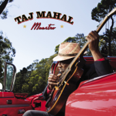 Maestro - Taj Mahal