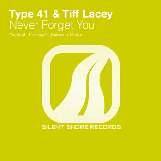 Never Forget You by Type 41 & Tiff Lacey song reviws