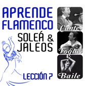 Aprende Flamenco. Soleá y Jaleos. Lección 7 artwork
