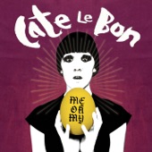Cate Le Bon - Shoeing The Bones