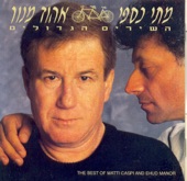 השירים הגדולים artwork