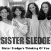 Sister Sledge's Thinking of You, 2006