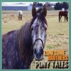 Pony Tales