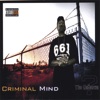 Criminal Mind