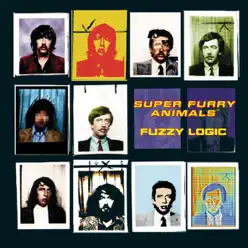 Fuzzy Logic - Super Furry Animals