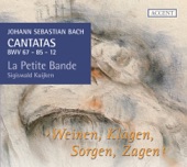 Bach: Cantatas, Vol. 11 artwork