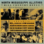 North Mississippi Allstars - Never In All My Days