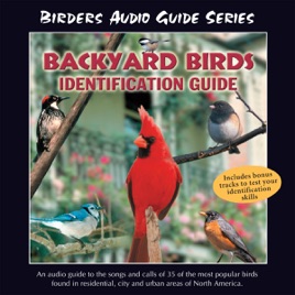 Backyard Bird Identification Guide By John Grout On Apple Music