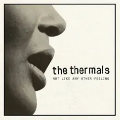 Not Like Any Other Feeling - Single by The Thermals album reviews, ratings, credits