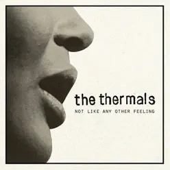 Not Like Any Other Feeling - Single - The Thermals