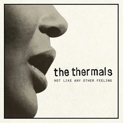 Not Like Any Other Feeling - Single - The Thermals