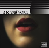 Eternal Voice artwork