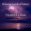 Relaxing Sounds of Nature - RAIN & THUNDER album lyrics, reviews, download