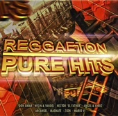 Reggaeton Pure Hits, 2008