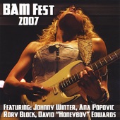 BamFest 2007 artwork