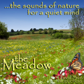 The Meadow (The Sounds of Nature for a Quiet Mind) - David Sun