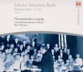 Leipzig Thomaner Choir - Lobet Den Herrn, Alle Heiden, BWV 230: Lobet Den Herrn, Alle Heiden, BWV 230