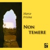 Non temere, 2006