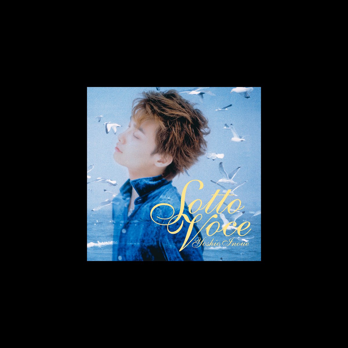 井上芳雄の Sotto Voce をapple Musicで
