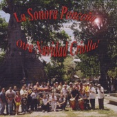 Sonora Poncena - Mucho Amor Y Paz