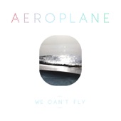We Can't Fly artwork