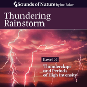 Thundering Rainstorm - Joe Baker