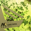 Kind Soul - Single