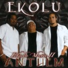 Ekolu - I Could Never Take the Place