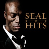 Seal - Kiss from a Rose