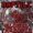 Raptile - Fight Back