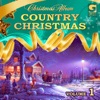 Country Christmas Vol. 1, 2010